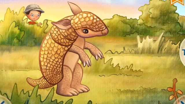 КТО ЖИВЕТ В ЮЖНОЙ АМЕРИКЕ? смотреть онлайн