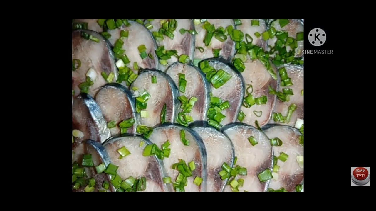 ОЛЮШКИНЫ РЕЦЕПТЫ