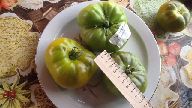 Томат Изумрудное яблоко Дегустация смотреть онлайн