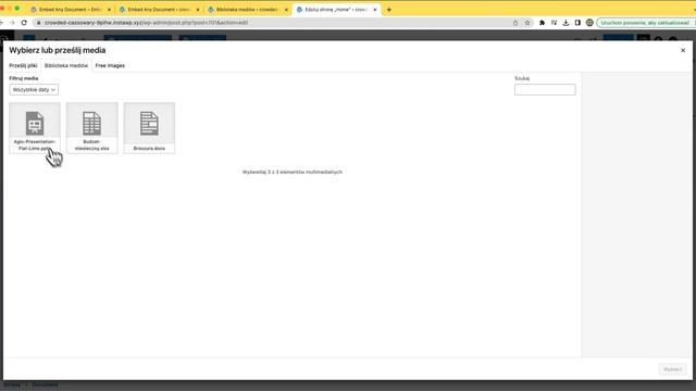 Dodaj plik PowerPoint, Excel i Word oraz dowolny dokument na stronę WordPress tak aby się wyświetla смотреть онлайн