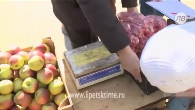 Нелегальные торговцы в Липецке лишились овощей и фруктов смотреть онлайн
