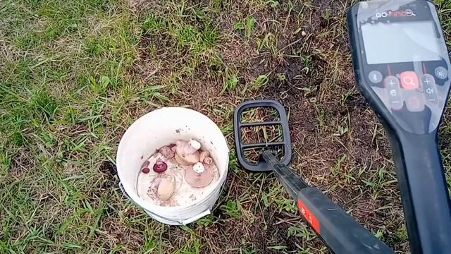 Ищу грибы металлоискателем. смотреть онлайн