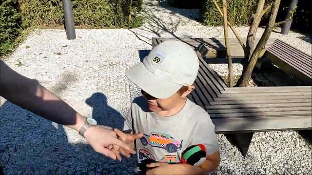 м ВДНХ, экотема на ВВЦ