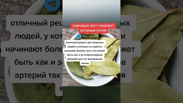 лавровый лист поможет больным ногам #народнаямедицина #зож #здоровьеидолголетие #здоровье смотреть онлайн
