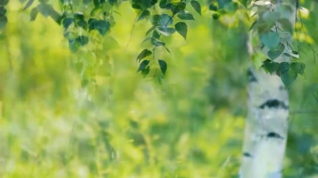 Оберег для дома |Защитные обереги смотреть онлайн