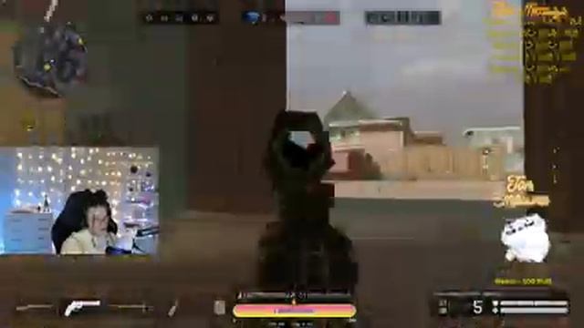 ?ВАРФЕЙС/НАСТЯ СТРИМИТ/РОЗЫГРЫШ 1000 КРЕДИТОВ #варфейс #warface смотреть онлайн