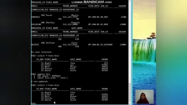 Insert Statement, Update Column and Delete Rows, Default values, using data types, etc