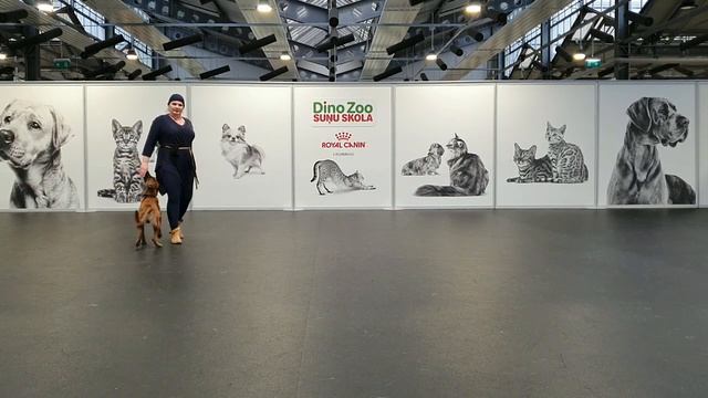 Открытый НТМ Сантия Каминска и Rufa Aulji смотреть онлайн