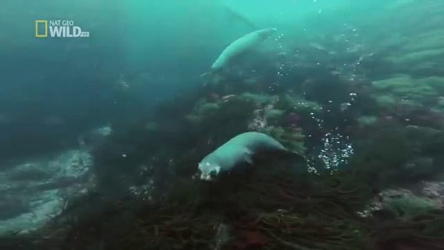 великие реки смотреть онлайн