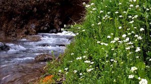 Вода. Для Медитации. Для снятия стресса. Для сна / Звуки природы с Журчанием воды / Звуки воды