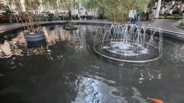 Парк в торговом центре в городе Калгари, Канада смотреть онлайн