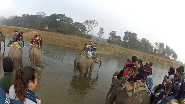 Сафари на слонах / Chetvan / Непал 2012 смотреть онлайн