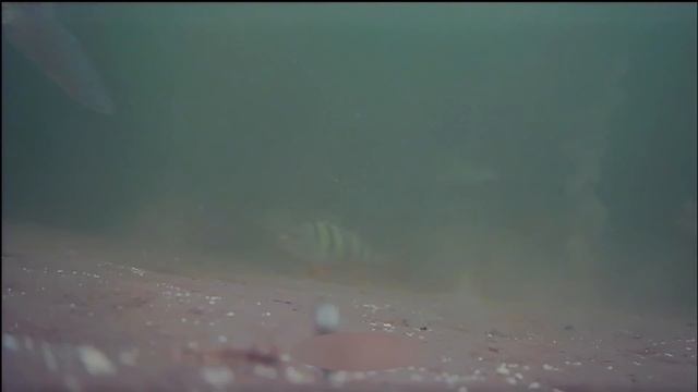 Комсомолка дубль 2 смотреть онлайн