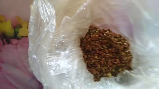 Сегодня на обед фаршированный перец смотреть онлайн