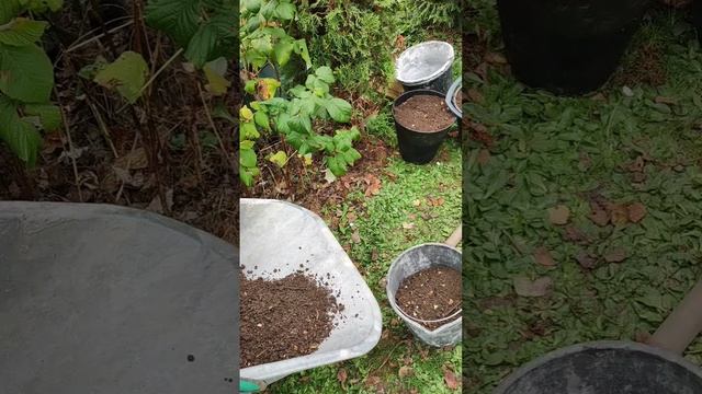 Бесплатный Грунт Своими Руками смотреть онлайн