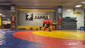 показательные выступления по самбо