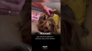 Просто милое видео