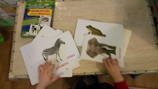 Изучение играя Загадки про животных 27 Card фотографии Домашних животных смотреть онлайн