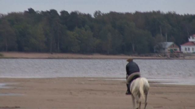 Возможности человека безграничны...Сестрорецк.18-09-16. смотреть онлайн