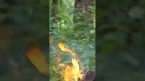 Царь грядёт 👑 Что это за личность? Кем руководим грядущий, кто ему мешает?