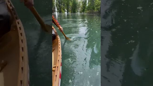 Аларчинское водохранилище, каноинг-центр «Татонка». смотреть онлайн