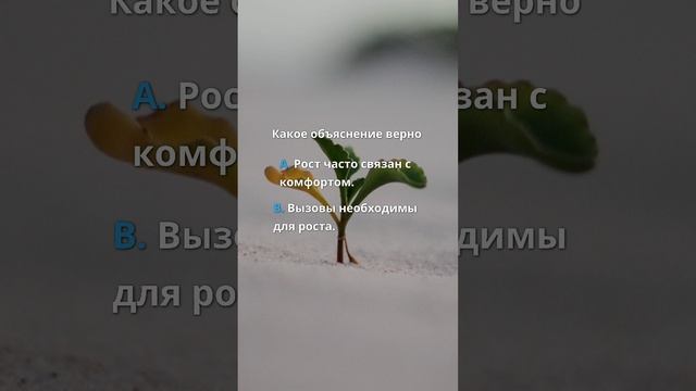 Цитаты | быть сильным | жизнь | Мы растем не тогда, когда все легко, а тогда, когда сталкиваемся с смотреть онлайн