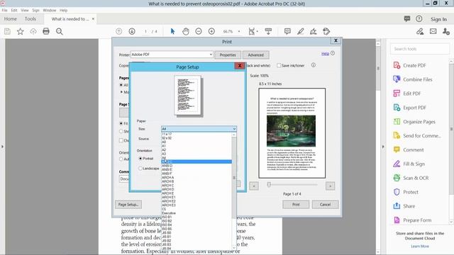 How to convert letter size to a4 in pdf using Adobe Acrobat Pro DC смотреть онлайн