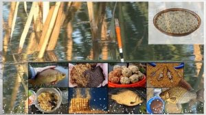 Как и где ловить карася в мае с берега на поплавочную удочку? Майский жор карася!