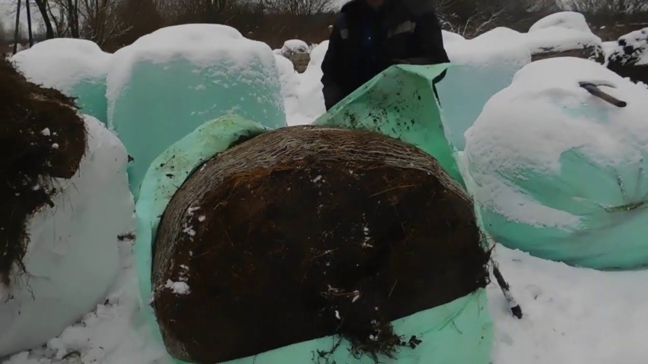 Что лучше Сено или Сенаж?Решайте сами!Сезон 2020г смотреть онлайн