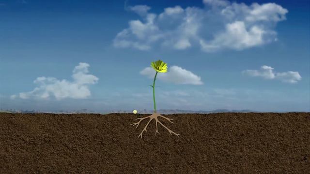 Osmocote Controlled Release Fertiliser TVC 2015 смотреть онлайн