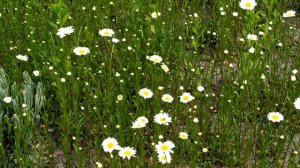 Механика любви 1 - 4 серии | Мелодрама 2021