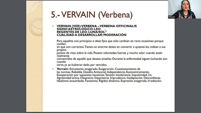 MINI CLASE 12 CURADORES смотреть онлайн