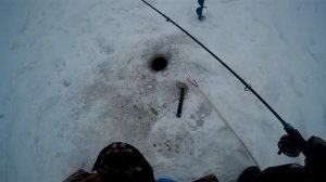 Зимняя ловля на подтяг (покаток ), фидер