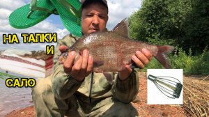 Лещь на сало и обрезки тапка! Тверская кормушка ловит!