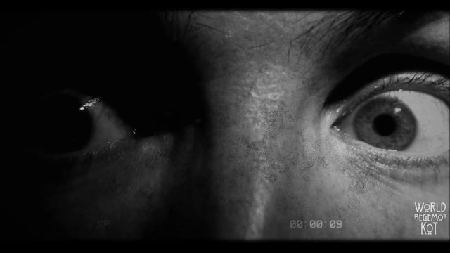 История с канала WorldBegemotKot. Ночью на улицу не выходи Часть 2! смотреть онлайн