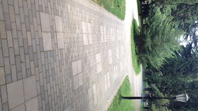 Крутые тачки СОЧИ смотреть онлайн