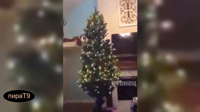 угар-прикол. новогодний чай смотреть онлайн