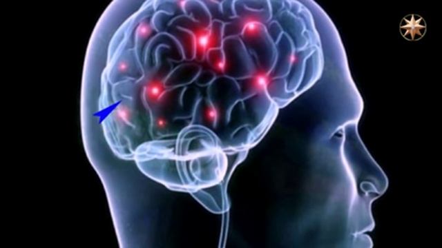 Сознание и подсознание смотреть онлайн