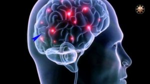 Сознание и подсознание