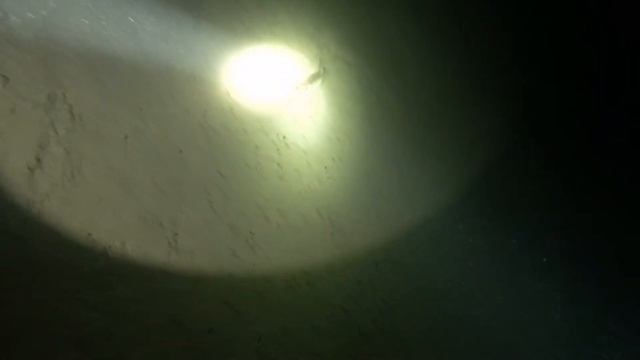 Налим в пещере "Северная". Март 2021 смотреть онлайн