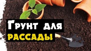 Грунт для рассады сделать своими руками - советы по смешиванию земли