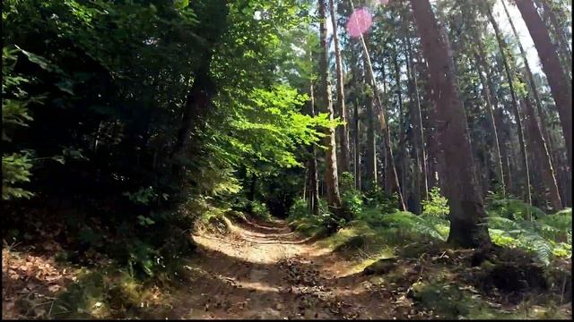 30 Minute Trail Bike Indoor Cycling Workout Germany Ultra HD Video