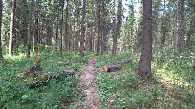 Черное озеро и козы. Пермь.18 июля 2020 Обалденное козье молоко! смотреть онлайн