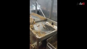 Центрифуга очистки субпродуктов, рубца крс