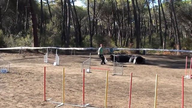 Daniela Nelson Marina di Grosseto jumping Enci 15 09 2012 смотреть онлайн
