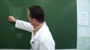 Пластика передней стенки пахового канала по Жирару-Спасокукоцкому