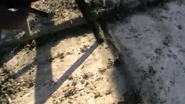 арболитосмеситель смотреть онлайн