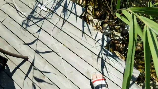 Аэратор для пруда | Компрессор для пруда | Пруд своими руками смотреть онлайн