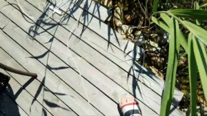 Аэратор для пруда | Компрессор для пруда | Пруд своими руками