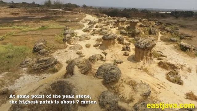 Bukit Jamur (Mushroom Hill) - A Unique Tourism Destination in Gresik – East Java смотреть онлайн